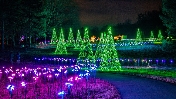 Christmas-2788