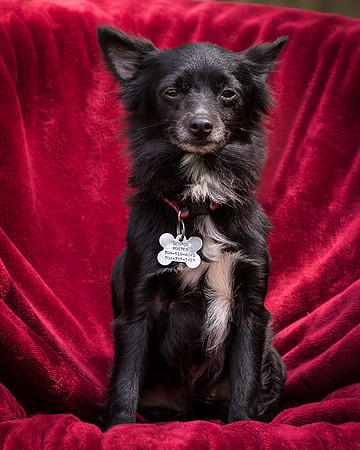 Foster Julio-8491