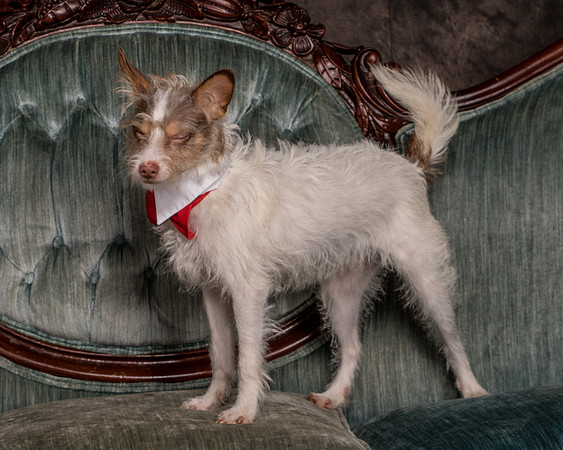 Foster Reagan-4869