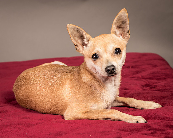 Foster Rosanna-3763