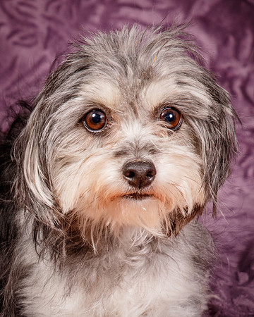 Foster Alex-6276