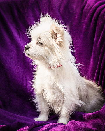 Foster Loni-9281