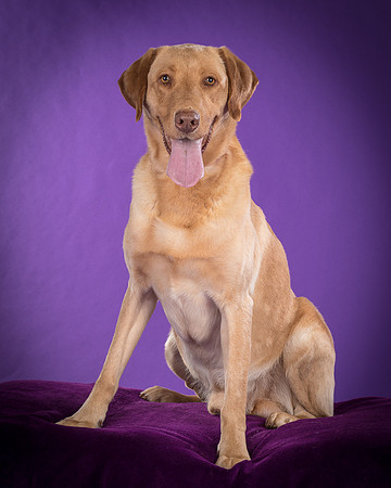 Foster Fred-5994