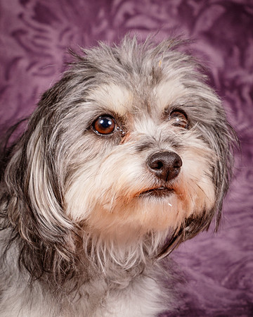 Foster Alex-6283