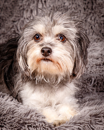 Foster Alex-6226