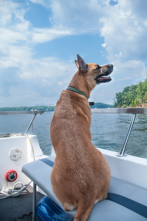 Roxy on boat-4101