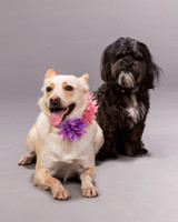 Maggie and Henry-7152