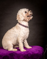 Foster Mae-8981