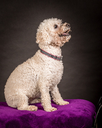 Foster Mae-8981