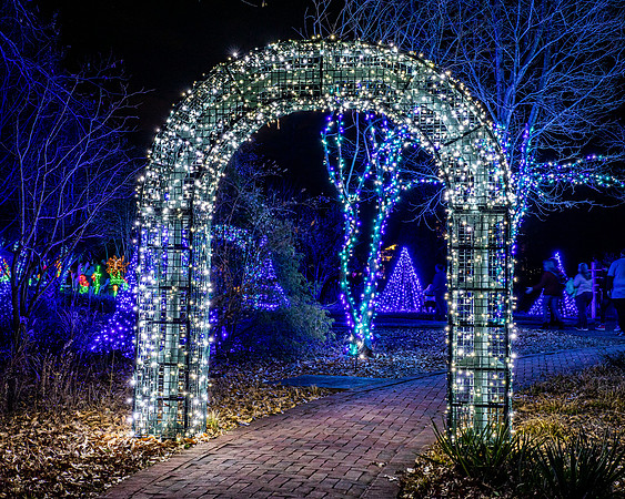 Christmas-2827
