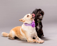 Maggie and Henry-7167