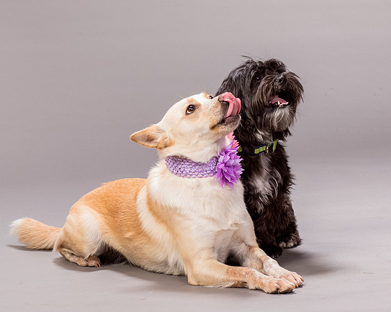 Maggie and Henry-7167