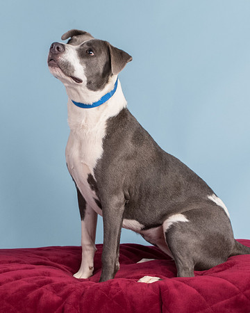 Foster Juliana-8101