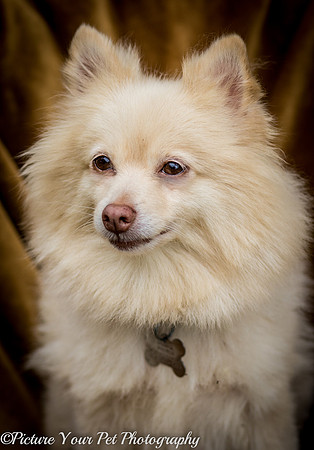 Foster Laverne-6270