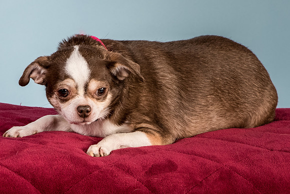 Foster Sophie-5215