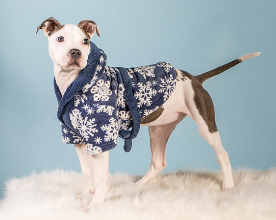 Foster Luna-4787