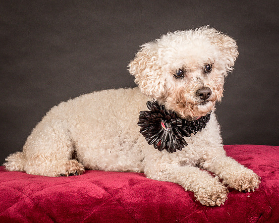 Foster Mae-9062