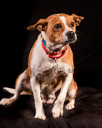 Foster Posey-1105