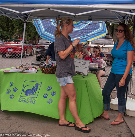 Carolina Mastiff Rescue-0672