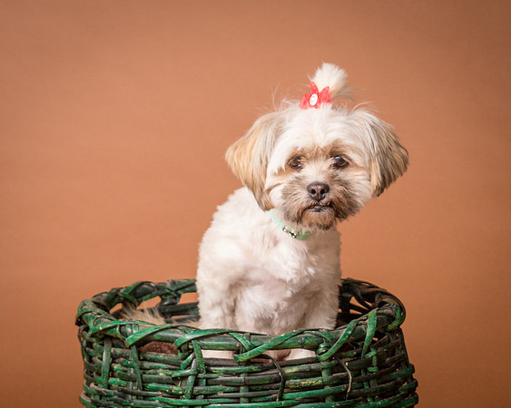 Foster Frida-9776