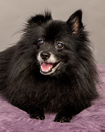 Foster Wayne-8311