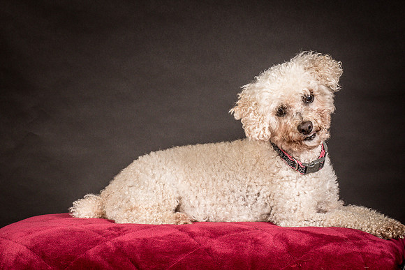 Foster Mae-9028