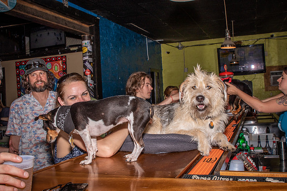 Willies Party-8636