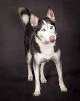 Bella-2421