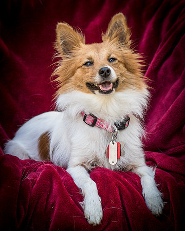 Foster Brandi-3411