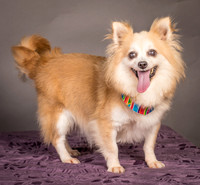 Foster Lilly-3233