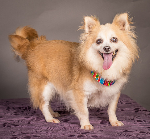 Foster Lilly-3233