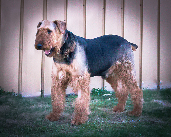 Foster Tucker-7945