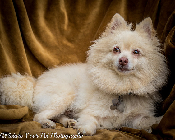 Foster Laverne-6286