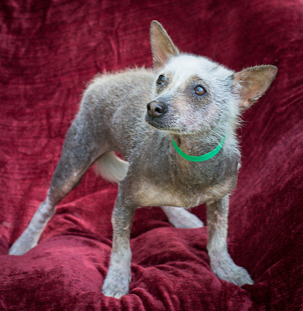 Foster Jillian-8655