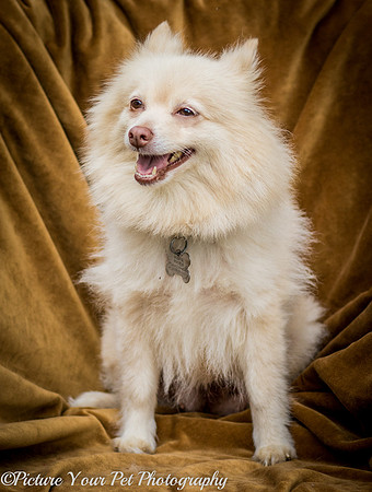 Foster Laverne-6260