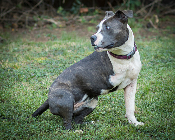 Foster Maya-0427