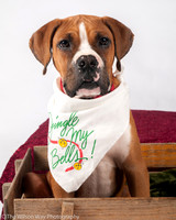 Foster Lenny-3055