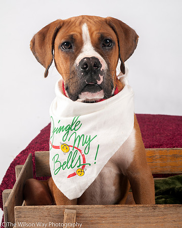 Foster Lenny-3055