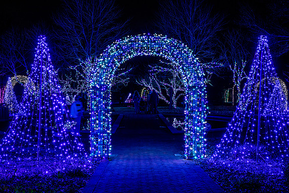 Christmas-2883
