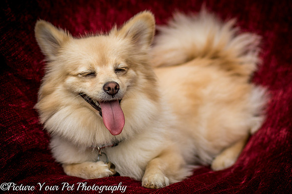 Foster Shirley-6109