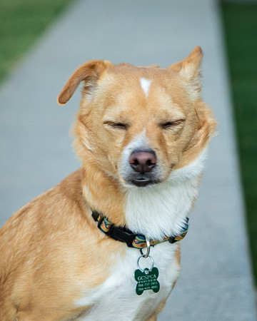 Foster Paddy-9961