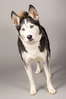 Bella-2462