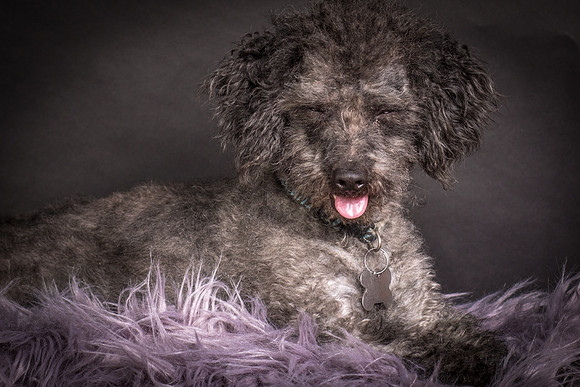 Foster Mokey-1384