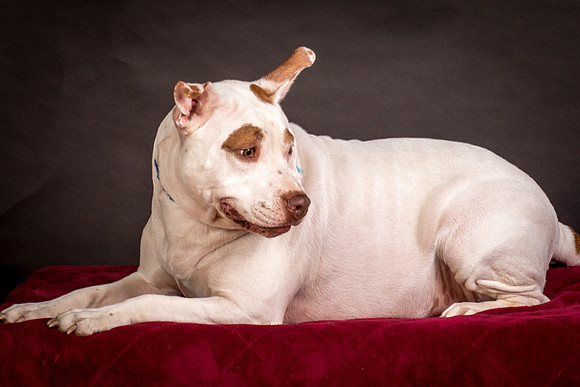 Foster Joanie-0481