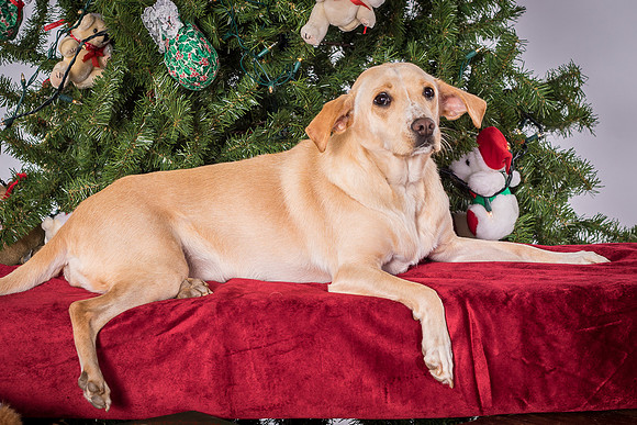 Foster June-3568