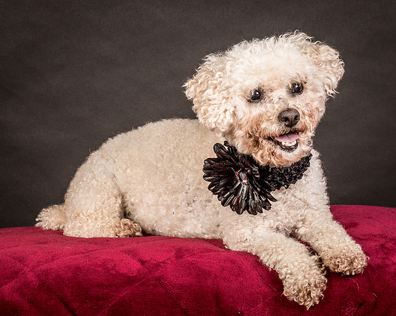 Foster Mae-9091