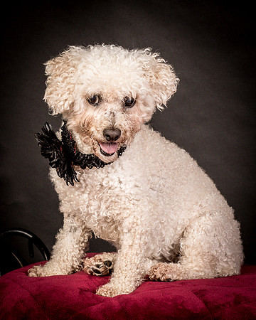 Foster Mae-9120