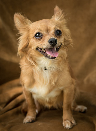 Foster Dolly-7769