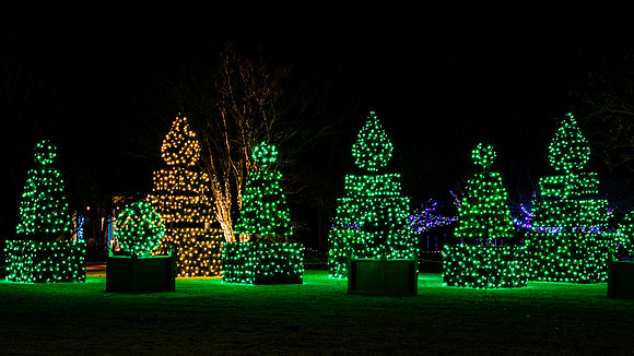 Christmas-2523