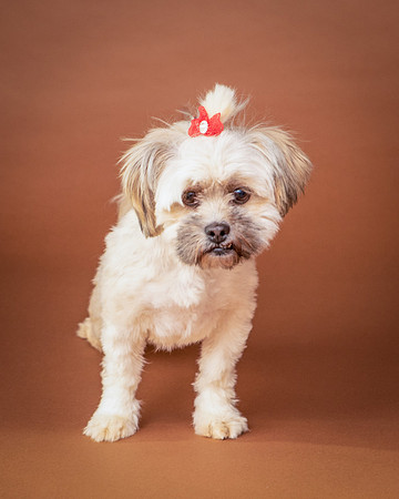 Foster Frida-9734